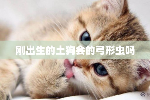 剛出生的土狗會的弓形蟲嗎