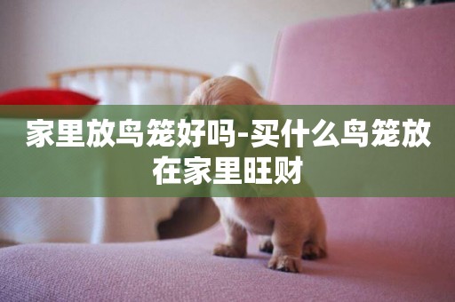 家里放鳥籠好嗎-買什么鳥籠放在家里旺財