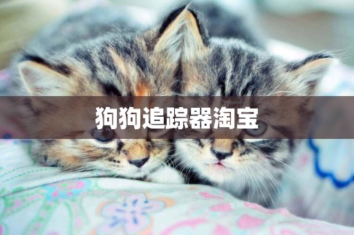 狗狗追蹤器淘寶