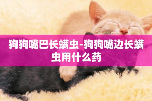 狗狗嘴巴長螨蟲-狗狗嘴邊長螨蟲用什么藥
