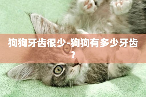 狗狗牙齒很少-狗狗有多少牙齒?