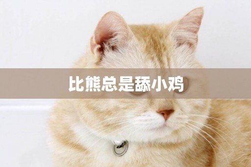 比熊總是舔小雞