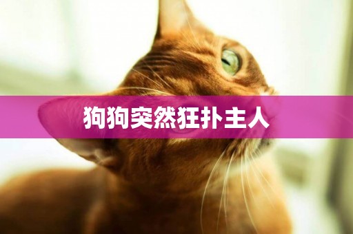 狗狗突然狂撲主人
