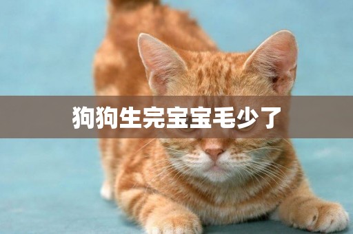 狗狗生完寶寶毛少了
