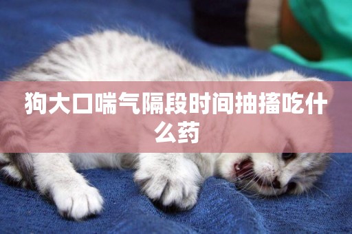 狗大口喘氣隔段時間抽搐吃什么藥