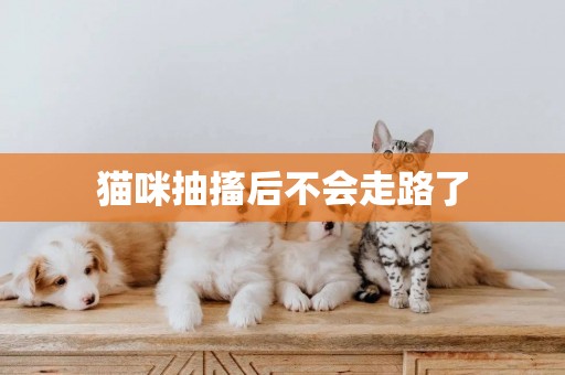 貓咪抽搐后不會走路了