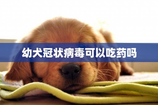幼犬冠狀病毒可以吃藥嗎