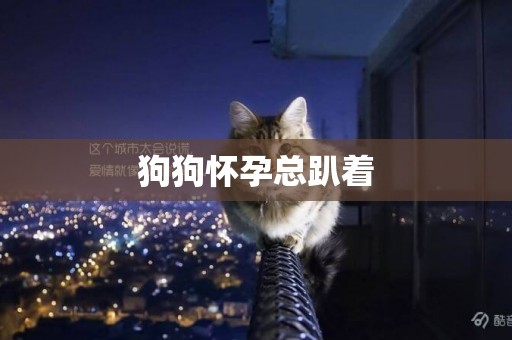 狗狗懷孕總趴著