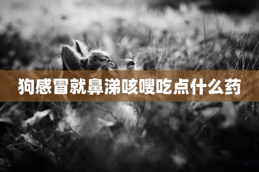 狗感冒就鼻涕咳嗖吃點什么藥