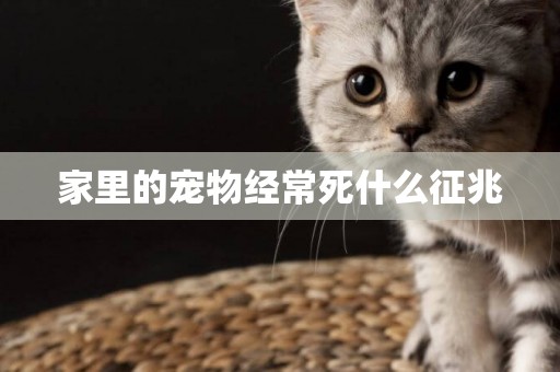 家里的寵物經常死什么征兆