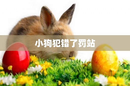 小狗犯錯了罰站