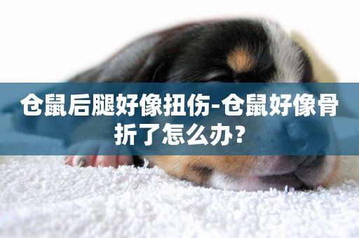 倉鼠后腿好像扭傷-倉鼠好像骨折了怎么辦？