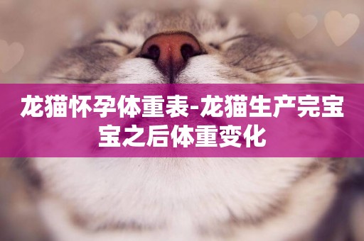 龍貓懷孕體重表-龍貓生產完寶寶之后體重變化