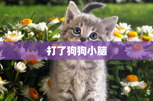打了狗狗小腦