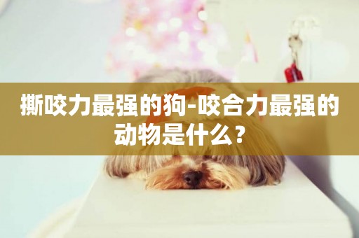 撕咬力最強的狗-咬合力最強的動物是什么？