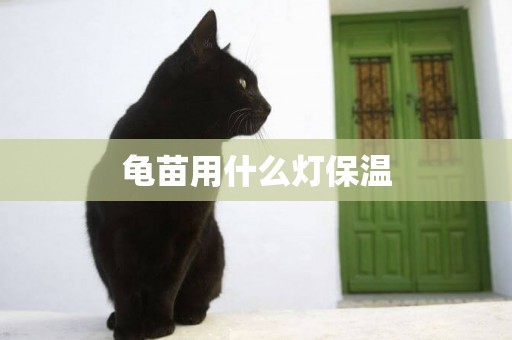 龜苗用什么燈保溫