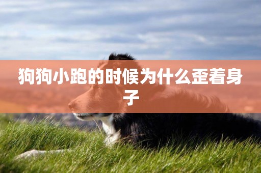 狗狗小跑的時候為什么歪著身子