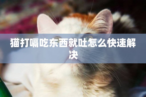 貓打嗝吃東西就吐怎么快速解決