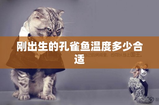 剛出生的孔雀魚溫度多少合適