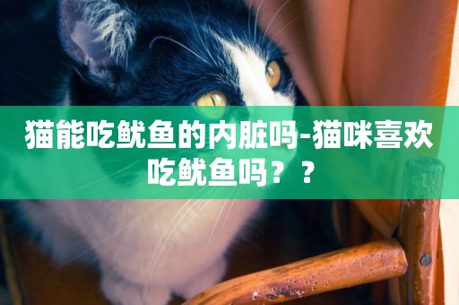 貓能吃魷魚的內臟嗎-貓咪喜歡吃魷魚嗎？？