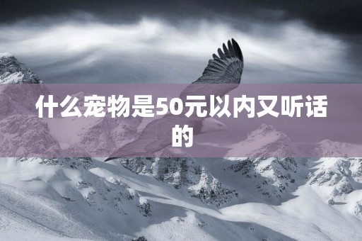 什么寵物是50元以內又聽話的
