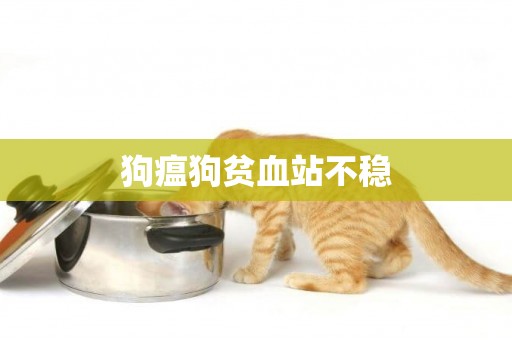 狗瘟狗貧血站不穩