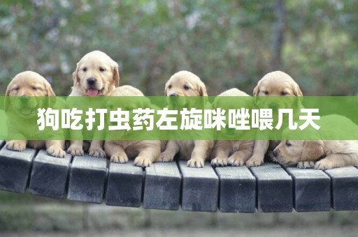 狗吃打蟲藥左旋咪唑喂幾天