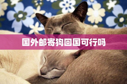 國外郵寄狗回國可行嗎