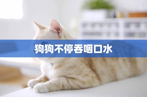 狗狗不停吞咽口水
