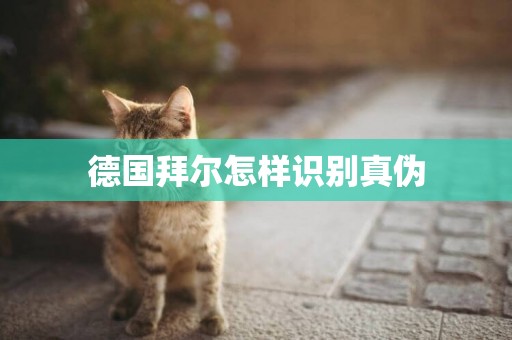 德國拜爾怎樣識別真偽
