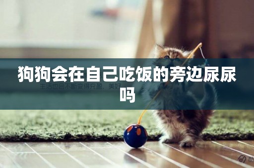 狗狗會在自己吃飯的旁邊尿尿嗎
