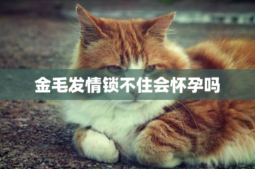 金毛發情鎖不住會懷孕嗎