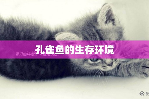 孔雀魚的生存環境