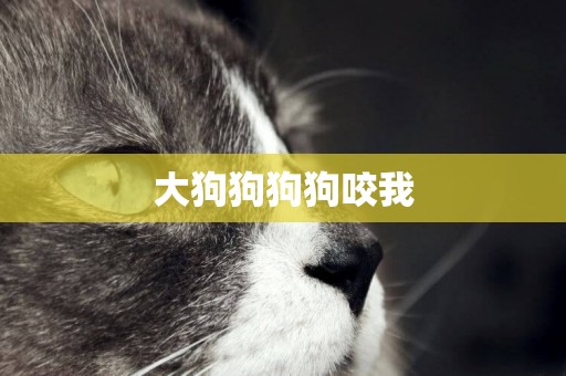 大狗狗狗狗咬我
