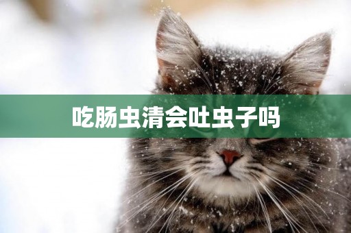 吃腸蟲清會吐蟲子嗎
