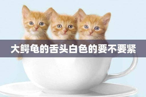 大鱷龜的舌頭白色的要不要緊