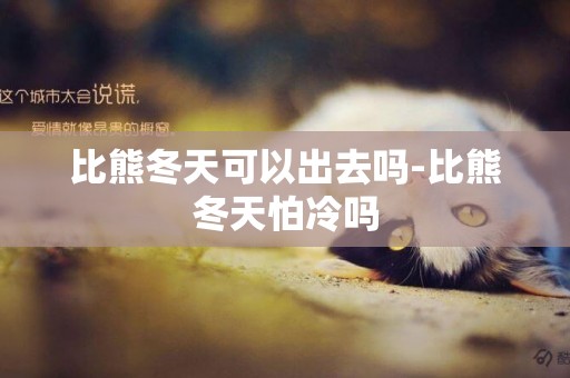 比熊冬天可以出去嗎-比熊冬天怕冷嗎