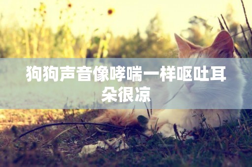 狗狗聲音像哮喘一樣嘔吐耳朵很涼