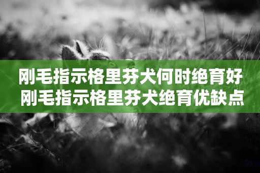 剛毛指示格里芬犬何時絕育好 剛毛指示格里芬犬絕育優缺點