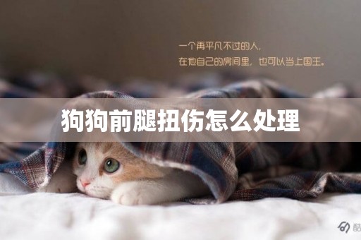 狗狗前腿扭傷怎么處理