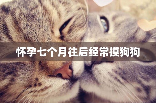 懷孕七個月往后經常摸狗狗