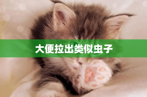 大便拉出類似蟲子