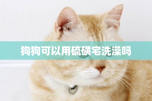 狗狗可以用硫磺宅洗澡嗎