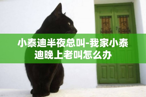 小泰迪半夜總叫-我家小泰迪晚上老叫怎么辦