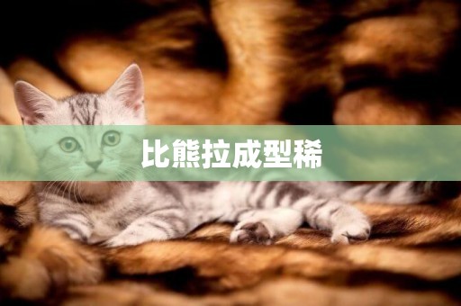 比熊拉成型稀