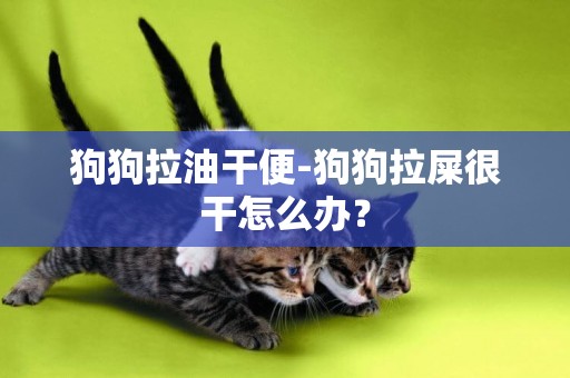 狗狗拉油干便-狗狗拉屎很干怎么辦？