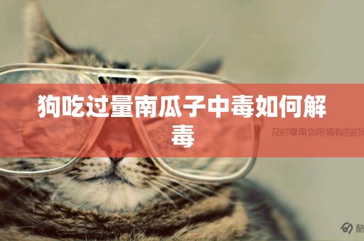 狗吃過量南瓜子中毒如何解毒
