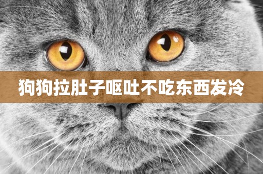 狗狗拉肚子嘔吐不吃東西發冷