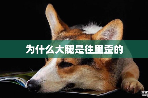 為什么大腿是往里歪的