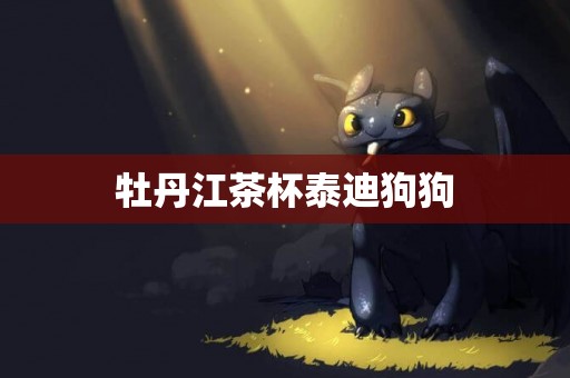 牡丹江茶杯泰迪狗狗